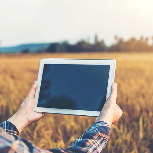 Person holding tablet in a field