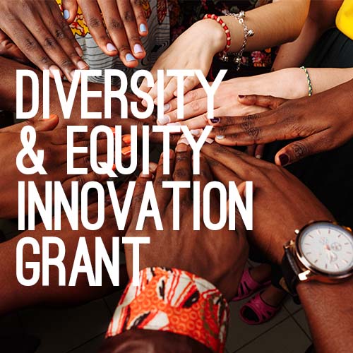 Diversity & Equity Innovation Grant