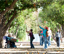 students pick oranges at an orange tree