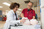 A student and Nurse attend to a baby doll.