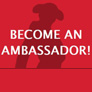 matador says become an ambassador